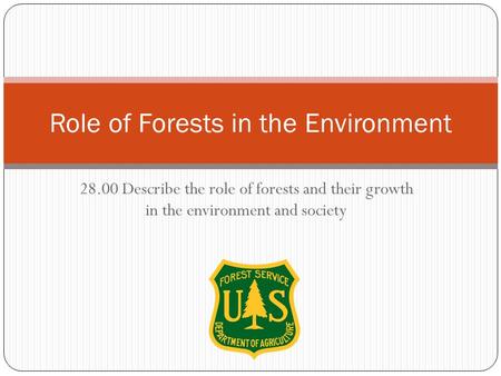 Role of Forests in the Environment