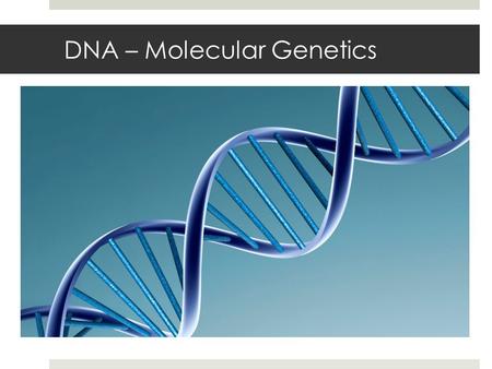 DNA – Molecular Genetics