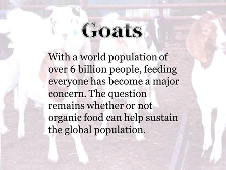 With a world population of over 6 billion people, feeding everyone has become a major concern. The question remains whether or not organic food can help.