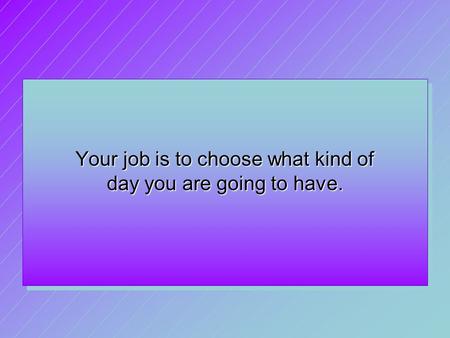 Your job is to choose what kind of day you are going to have.