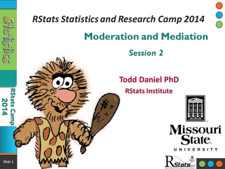 RStats Statistics and Research Camp 2014