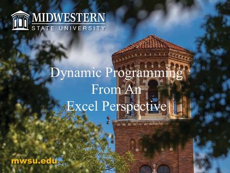 Dynamic Programming From An Excel Perspective. Dynamic Programming From An Excel Perspective Ranette Halverson, Richard Simpson, Catherine Stringfellow.