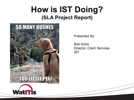 How is IST Doing? (SLA Project Report) 1 Presented By: Bob Hicks Director, Client Services IST.