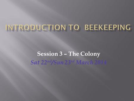 Session 3 – The Colony Sat 22 nd /Sun 23 rd March 2014.