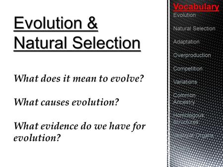 Evolution & Natural Selection What does it mean to evolve? What causes evolution? What evidence do we have for evolution?VocabularyEvolution Natural Selection.