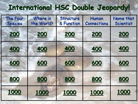 The Four Species Where in the World? Structure & Function Human Connections Name that Scientist 200 400 600 800 1000 International HSC Double Jeopardy!