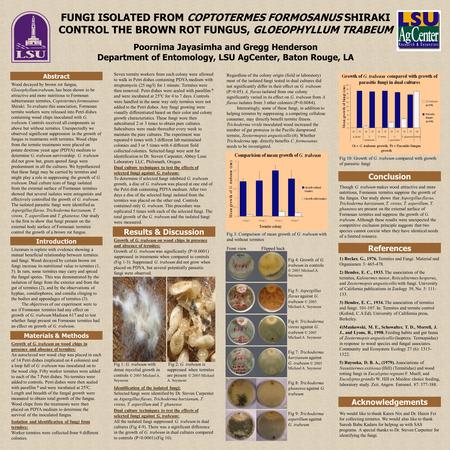 FUNGI ISOLATED FROM COPTOTERMES FORMOSANUS SHIRAKI CONTROL THE BROWN ROT FUNGUS, GLOEOPHYLLUM TRABEUM Poornima Jayasimha and Gregg Henderson Department.