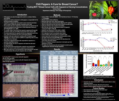 Introduction Chili peppers are eaten throughout the world in a variety of dishes, and cuisines Capsaicin, an active component in chili peppers, is responsible.