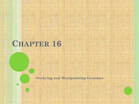 C HAPTER 16 Studying and Manipulating Genomes. I MPACTS, I SSUES : G OLDEN R ICE, OR F RANKENFOOD ? 124 million children around the world have vitamin.