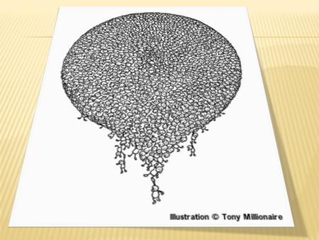  Distribution of World Population  Population Statistics  Population Pyramids  Demographic Transition Theory  Population Control  Overpopulation.