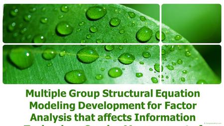 Multiple Group Structural Equation Modeling Development for Factor Analysis that affects Information Technology Service Management of Higher Educational.