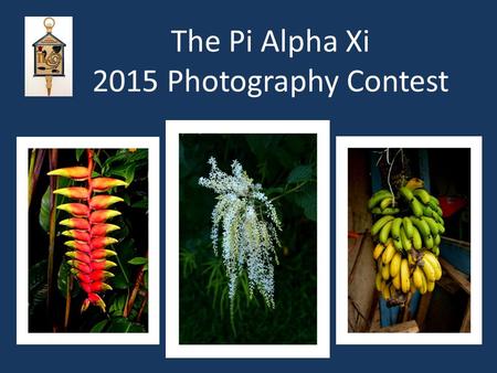 The Pi Alpha Xi 2015 Photography Contest. Our Mission: The organization was established to foster good fellowship among students, educators and professional.