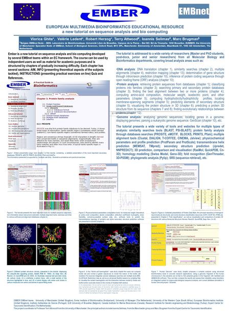 EMBER EMBnet teams : University of Manchester (United Kingdom), Swiss Institute of Bioinformatics (Switzerland), University of Nijmegen (The Netherlands),