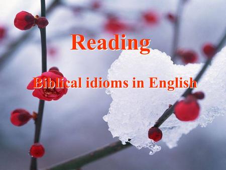 Reading Biblical idioms in English.