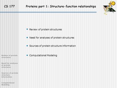 CS 177 Proteins part 1: Structure-function relationships Review of protein structures Need for analyses of protein structures Sources of protein structure.