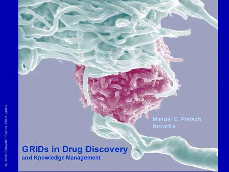 GRIDs in Drug Discovery and Knowledge Management Dr. Olivier Schwartz / Science Photo Library Manuel C. Peitsch Novartis.