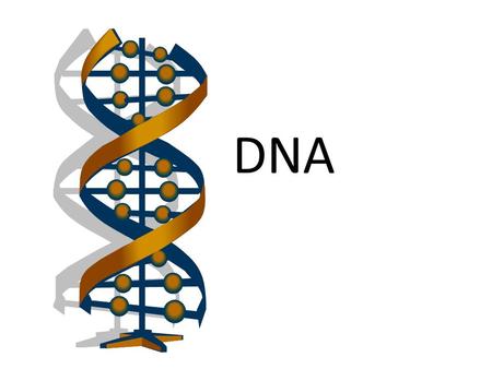 DNA.