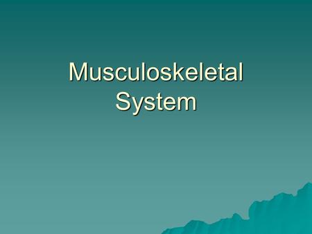 Musculoskeletal System. Functions  Movement  Shape of body.