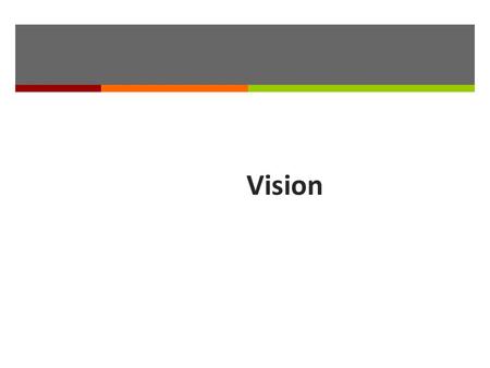 Vision. Special Senses  Special sensory receptors  Distinct, localized receptor cells in head  Vision  Taste  Smell  Hearing  Equilibrium.