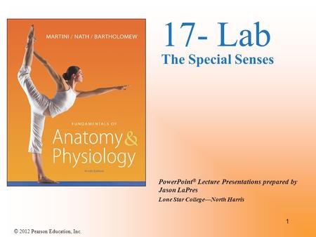 17- Lab The Special Senses.