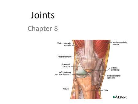 Joints Chapter 8.