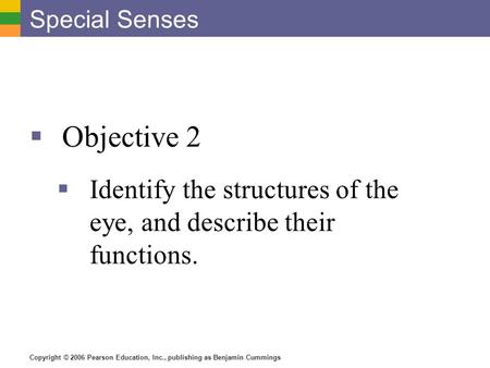 Special Senses Objective 2