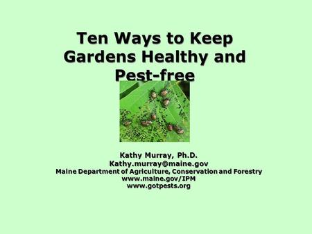 Ten Ways to Keep Gardens Healthy and Pest-free