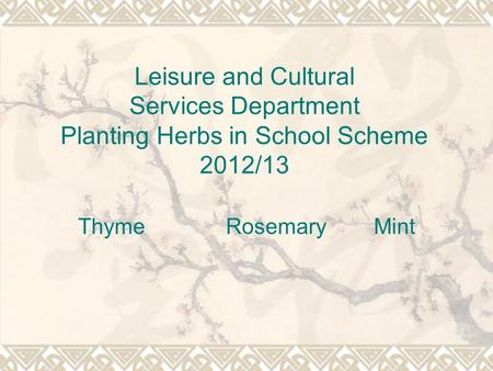 Leisure and Cultural Services Department Planting Herbs in School Scheme 2012/13 Thyme Rosemary Mint.