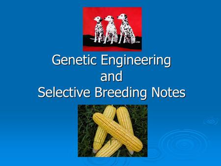 Genetic Engineering and Selective Breeding Notes