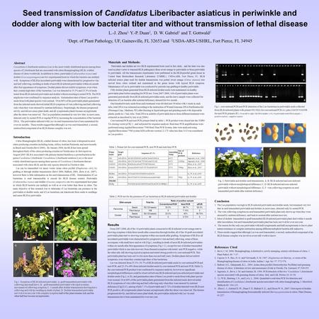 Seed transmission of Candidatus Liberibacter asiaticus in periwinkle and dodder along with low bacterial titer and without transmission of lethal disease.