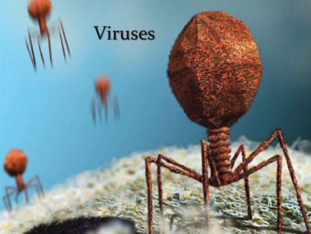 Viruses.