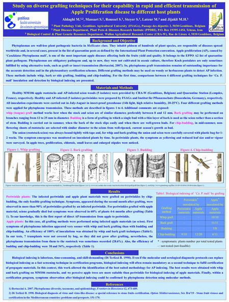 Study on diverse grafting techniques for their capability in rapid and efficient transmission of Apple Proliferation disease to different host plants Aldaghi.