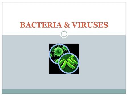 BACTERIA & VIRUSES. BACTERIA PROKARYOTIC in 2 of 3 Domains 1. Eubacteria 2. Archaebacteria.