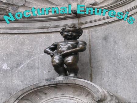Aims Understand aetiology of nocturnal enuresis Understand aetiology of nocturnal enuresis Be aware of treatments available in Primary Care Be aware of.