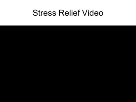 Stress Relief Video. Team WPI-CMU and the DARPA Robotics Challenge Chris Atkeson July 9, 2015.