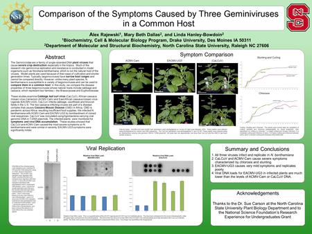 Symptom Comparison A lex Rajewski 1, Mary Beth Dallas 2, and Linda Hanley-Bowdoin 2 1 Biochemistry, Cell & Molecular Biology Program, Drake University,