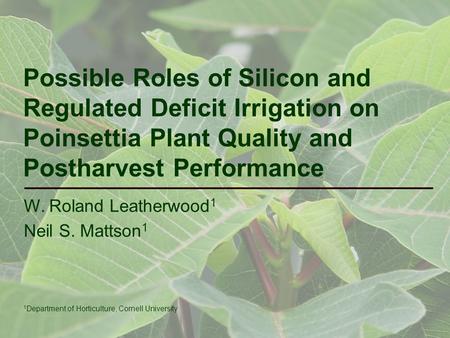 W. Roland Leatherwood 1 Neil S. Mattson 1 Possible Roles of Silicon and Regulated Deficit Irrigation on Poinsettia Plant Quality and Postharvest Performance.