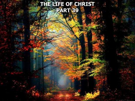 THE LIFE OF CHRIST PART 39 THE LIFE OF CHRIST PART 39.