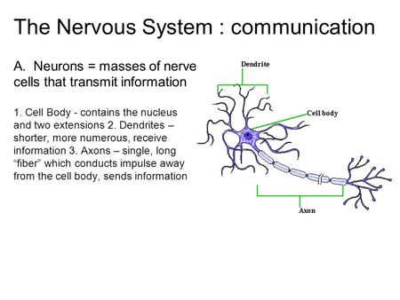 The Nervous System : communication