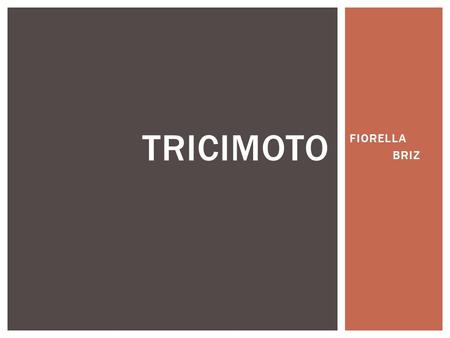 FIORELLA BRIZ TRICIMOTO. Transportation has always been a necessary media to mobilize, whether is from a bicycle to an airplane, we are surrounded by.