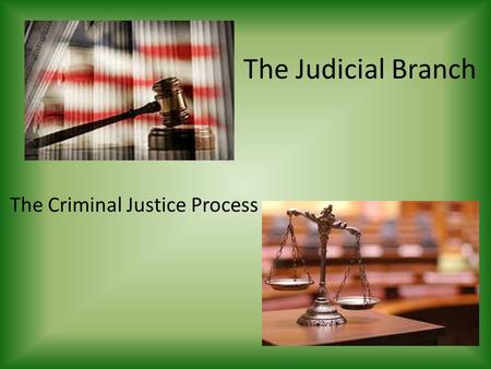 The Judicial Branch The Criminal Justice Process.