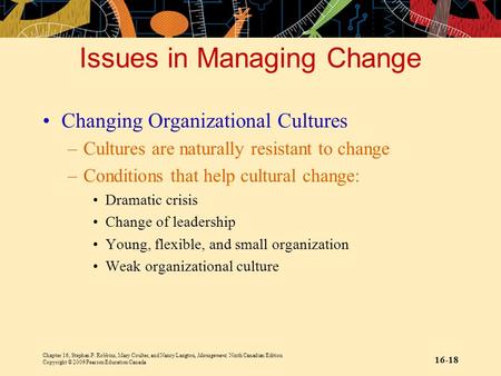 Chapter 16, Stephen P. Robbins, Mary Coulter, and Nancy Langton, Management, Ninth Canadian Edition Copyright © 2009 Pearson Education Canada 16-18 Issues.