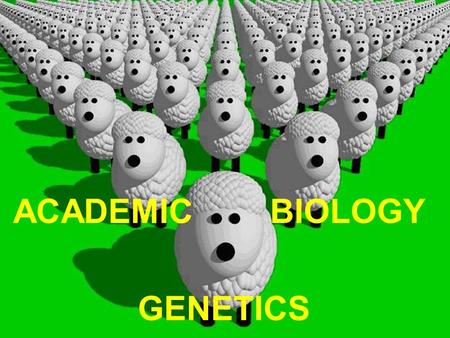 ACADEMIC BIOLOGY GENETICS. I.Gregor Mendel 1842 Who was he? - Austrian monk whose task was tending the garden in his monastery. - Known as the “Father.