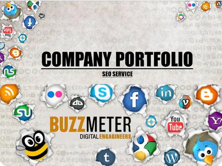 COMPANY PORTFOLIO SEO SERVICE