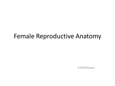 Female Reproductive Anatomy