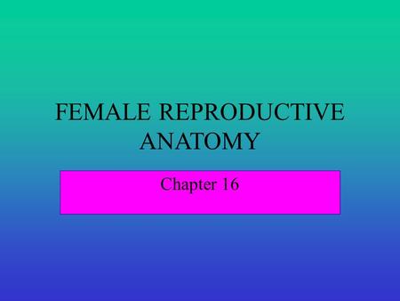 FEMALE REPRODUCTIVE ANATOMY