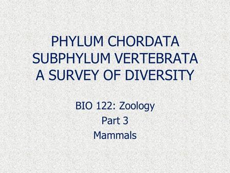 PHYLUM CHORDATA SUBPHYLUM VERTEBRATA A SURVEY OF DIVERSITY