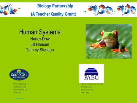 Human Systems Nancy Dow Jill Hansen Tammy Stundon Gulf Coast State CollegePanhandle Area Educational Consortium 5230 West Highway 98753 West Boulevard.