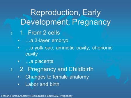 Frolich, Human Anatomy, Reproduction, Early Dev., Pregnancy Reproduction, Early Development, Pregnancy l 1. From 2 cells …a 3-layer embryo …a yolk sac,