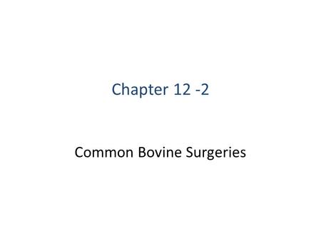 Common Bovine Surgeries Chapter 12 -2. “A dream doesn’t become reality through magic; it takes sweat, determination and hard work.” - Colin Powell.